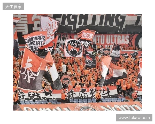 苗原谈泰山引援：账户里有200万水平购买力 但文旅决策尽量少花钱